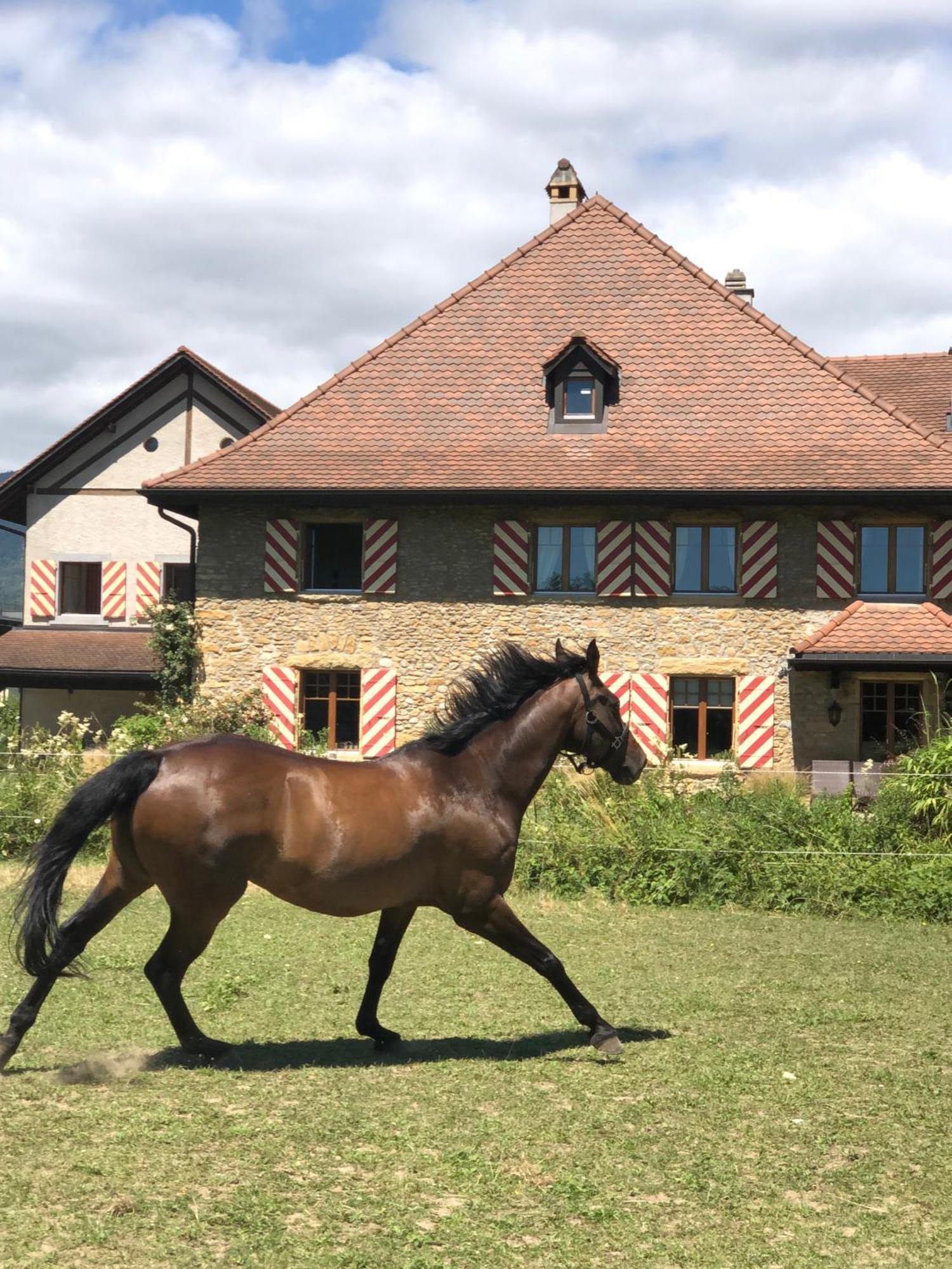 Ferme De Grandchamp Apartment Boudry Exterior photo